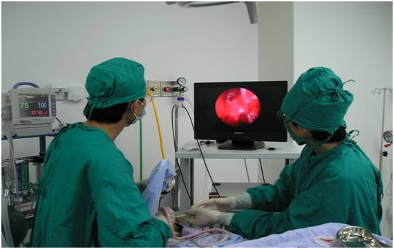 Quy trình căng da mặt nội soi